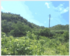  2025Ÿ786  ӽǱ Ŵ 渮 1085      (Ӿ)