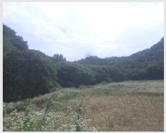  2025Ÿ786  ӽǱ Ŵ 渮 1085      (Ӿ)