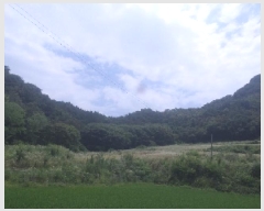  2025Ÿ786  ӽǱ Ŵ 渮 1085      (Ӿ)