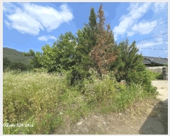  2025Ÿ��804  �������