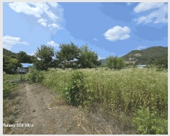  2025Ÿ��804  �������