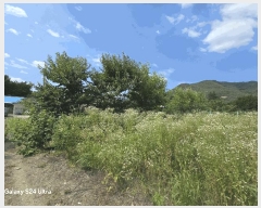  2025Ÿ��804  �������