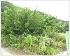  2025Ÿ��804  �������