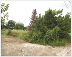  2025Ÿ��804  �������