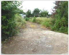  2025Ÿ��804  �������