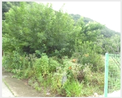  2025Ÿ��804  �������