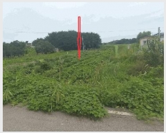  2025Ÿ��866 ���� ������ ������ ����� 668-143      ����(��)���