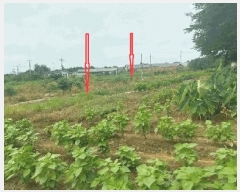  2025Ÿ��866 ���� ������ ������ ����� 668-143      ����(��)���