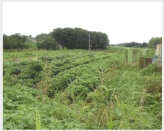  2025Ÿ��866 ���� ������ ������ ����� 668-143      ����(��)���