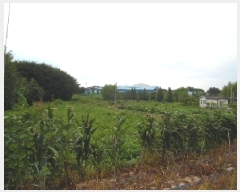  2025Ÿ��866 ���� ������ ������ ����� 668-143      ����(��)���