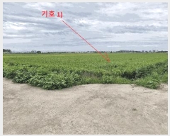  2025Ÿ��925 ���� ������ ������ ������ 572-1      ����(��)���