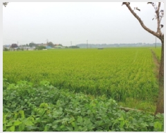  2025Ÿ��925 ���� ������ ������ ������ 572-2      ����(��)���