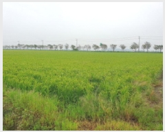  2025Ÿ��925 ���� ������ ������ ������ 572-3      ����(��)���