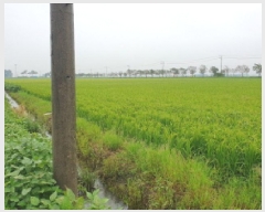  2025Ÿ��925 ���� ������ ������ ������ 572-3      ����(��)���