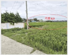  2025Ÿ��925 ���� ������ ������ ������ 572-1      ����(��)���