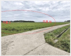  2025Ÿ��925 ���� ������ ������ ������ 572-1      ����(��)���