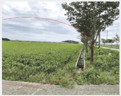  2025Ÿ��925 ���� ������ ������ ������ 572-1      ����(��)���