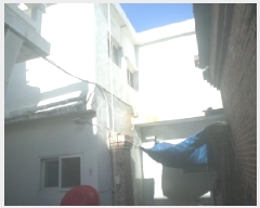  2025Ÿ��987  �������