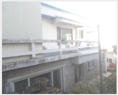  2025Ÿ��987  �������