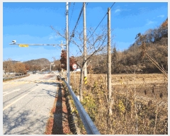  2025Ÿ��1041 ���� �ӽǱ� �Ŵ��� ���ø� 894-4      ����(��)���