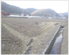  2025Ÿ��1041 ���� �ӽǱ� �Ŵ��� ���ø� 894-4      ����(��)���