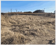  2025Ÿ30928    긮 154-3      (1)