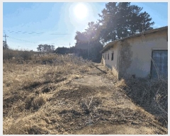  2025Ÿ30928    긮 154-3      (1)