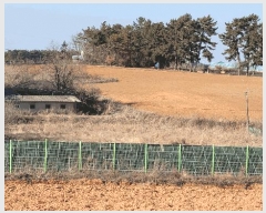  2025Ÿ30928    긮 154-3      (1)