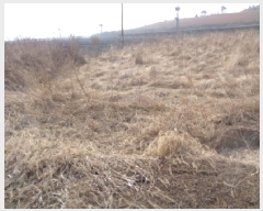  2025Ÿ30928    긮 154-3      (1)