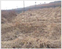  2025Ÿ30928    긮 154-3      (1)