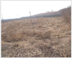  2025Ÿ30928    긮 154-3      (1)