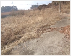  2025Ÿ30928    긮 154-3      (1)