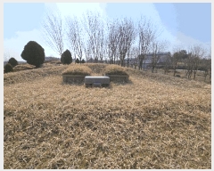  2025Ÿ��30947 ���� ���ֽ� ������ ������ 33-11      ����(��1)���