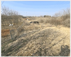  2025Ÿ��30947 ���� ���ֽ� ������ ������ 33-11      ����(��1)���