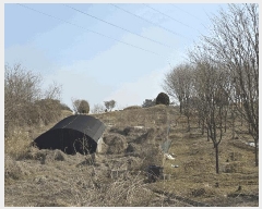  2025Ÿ��30947 ���� ���ֽ� ������ ������ 33-11      ����(��1)���