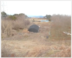  2025Ÿ��30947 ���� ���ֽ� ������ ������ 33-11      ����(��1)���