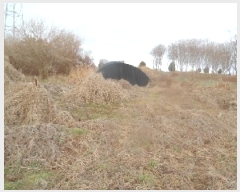  2025Ÿ��30947 ���� ���ֽ� ������ ������ 33-11      ����(��1)���