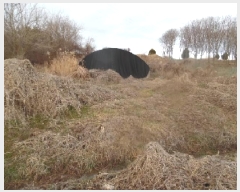  2025Ÿ��30947 ���� ���ֽ� ������ ������ 33-11      ����(��1)���