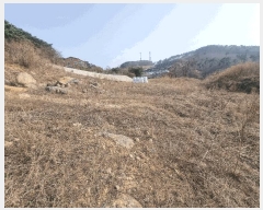  2025Ÿ��31003 ���� �ӽǱ� ������ ���渮 740-1      ����(��1)���