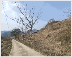  2025Ÿ��31003 ���� �ӽǱ� ������ ���渮 740-1      ����(��1)���