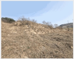  2025Ÿ��31003 ���� �ӽǱ� ������ ���渮 740-1      ����(��1)���