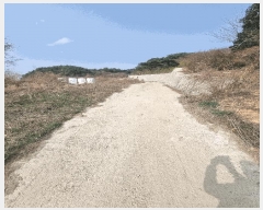  2025Ÿ��31003 ���� �ӽǱ� ������ ���渮 740-1      ����(��1)���