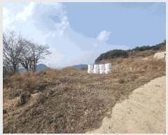  2025Ÿ��31003 ���� �ӽǱ� ������ ���渮 740-1      ����(��1)���