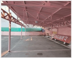  2025Ÿ��31039  �������