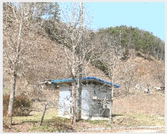  2025Ÿ��31049  �����