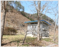  2025Ÿ��31049  �����