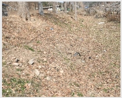  2025Ÿ��31049  �����