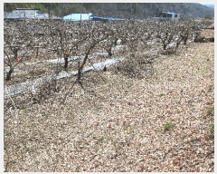  2025Ÿ��31049  �����