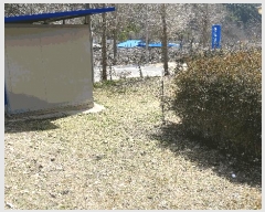  2025Ÿ��31049  �����