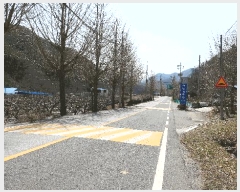  2025Ÿ��31049  �����